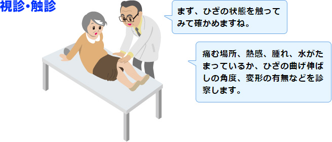 視診・触診のイラスト